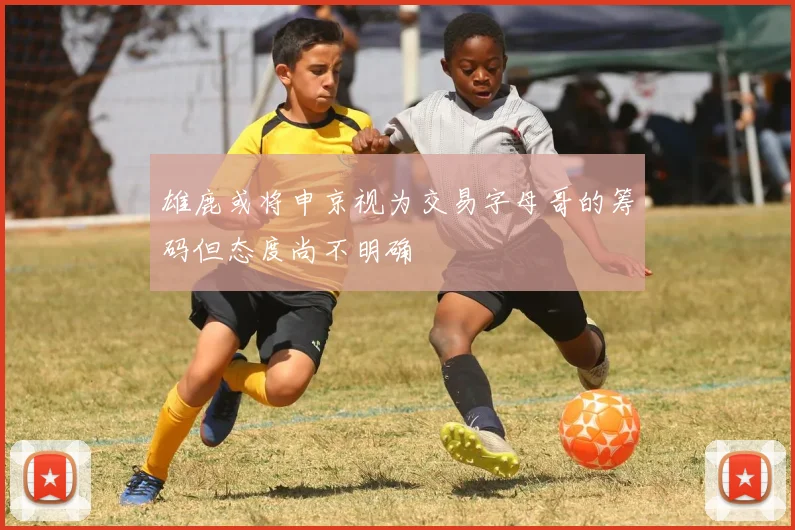 雄鹿或将申京视为交易字母哥的筹码但态度尚不明确