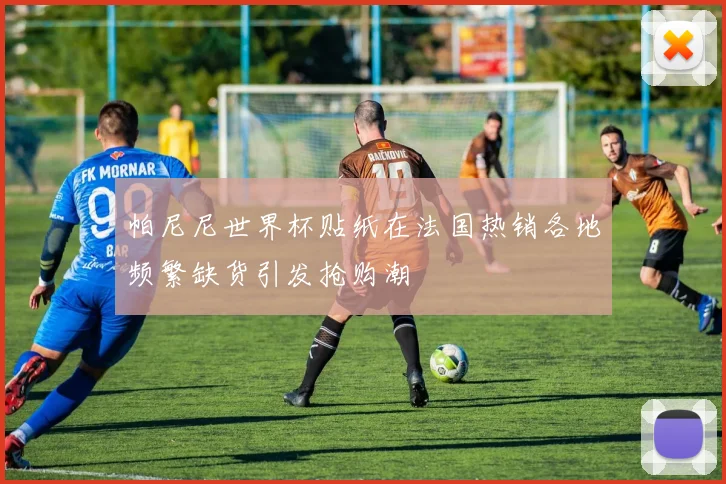 帕尼尼世界杯贴纸在法国热销各地频繁缺货引发抢购潮